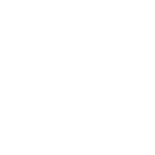 ico_blanco_network