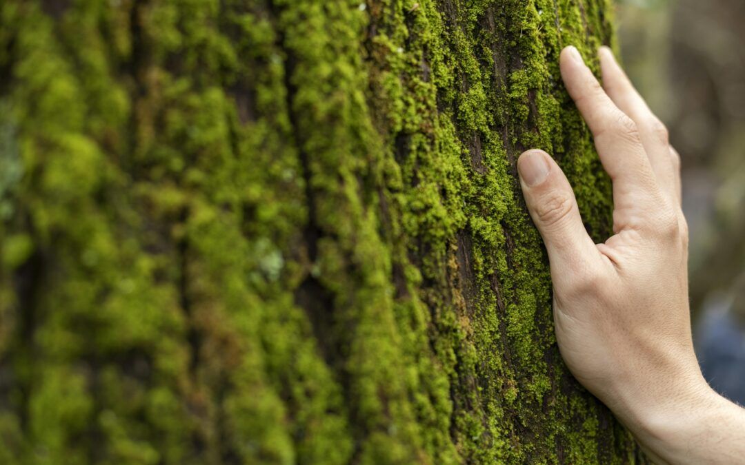 Compromiso con el Medio Ambiente: Panel GHC Plan